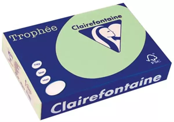 Een Clairefontaine Trophée gekleurd papier, A4, 80 g, 500 vel, natuurgroen koop je bij ShopXPress