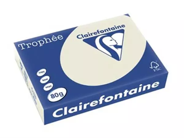 Een Clairefontaine Trophée gekleurd papier, A4, 80 g, 500 vel, parelgrijs koop je bij ShopXPress