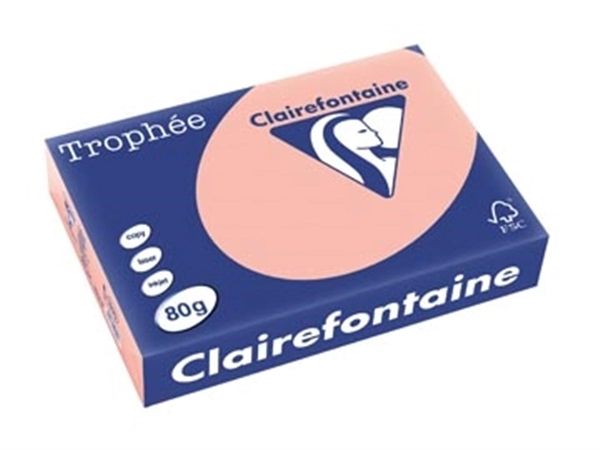 Een Clairefontaine Trophée gekleurd papier, A4, 80 g, 500 vel, perzik koop je bij ShopXPress