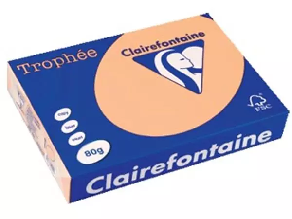 Een Clairefontaine Trophée gekleurd papier, A4, 80 g, 500 vel, zalm koop je bij ShopXPress