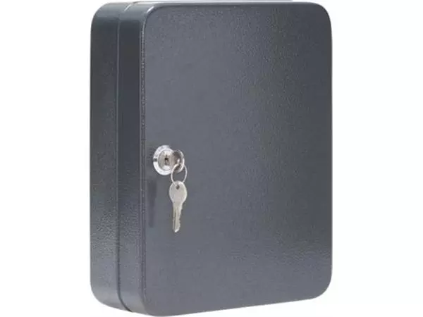 Een De Raat Lloyd KC48 sleutelkluis, grijs koop je bij ShopXPress