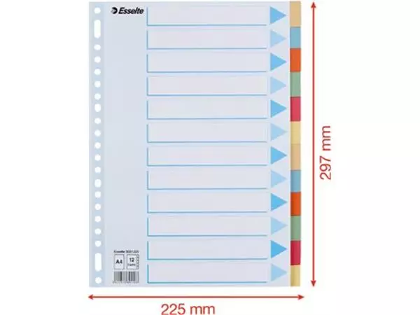 Een Esselte tabbladen 12 tabs, karton van 275 g/m² koop je bij ShopXPress