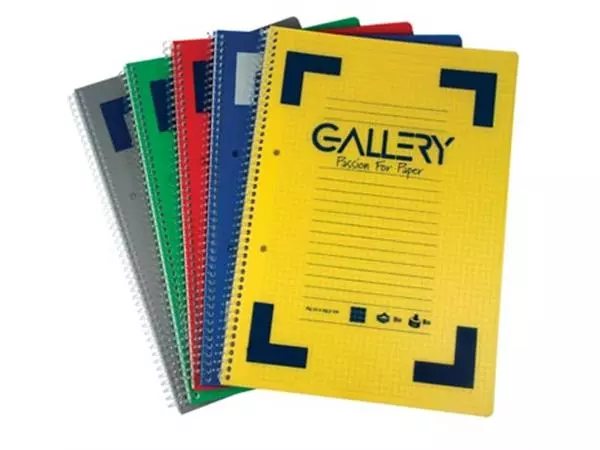 Een Gallery Traditional spiraalschrift ft A4, gelijnd, geassorteerde kleuren, 160 bladzijden koop je bij ShopXPress