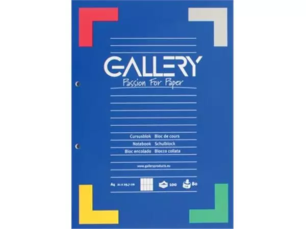 Een Gallery cursusblok, ft A4, 80 g/m², 2-gaatsperforatie, commercieel geruit, 100 vel koop je bij ShopXPress