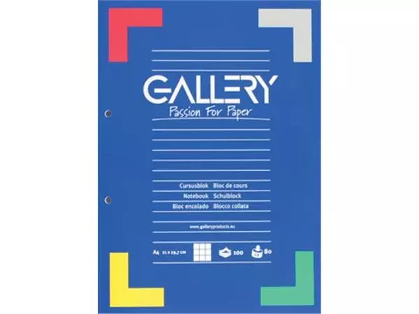 Een Gallery cursusblok, ft A4, 80 g/m², 2-gaatsperforatie, geruit 5 mm, 100 vel koop je bij ShopXPress