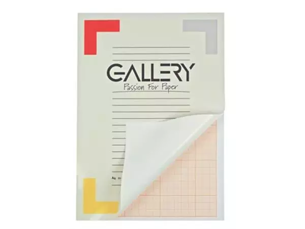 Een Gallery millimeterpapier, ft 21 x 29,7 cm (A4), blok van 50 vel koop je bij ShopXPress