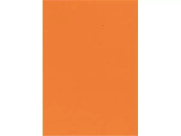 Een Gekleurd tekenpapier oranje koop je bij ShopXPress