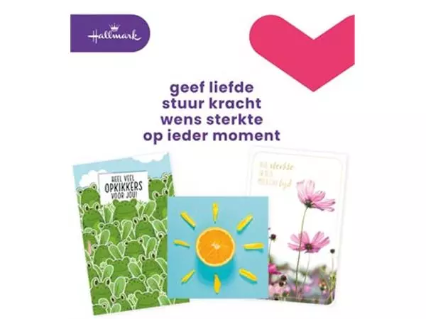 Een Hallmark navulset wenskaarten, beterschap/sterkte, pak van 12 stuks koop je bij Supplierz BV