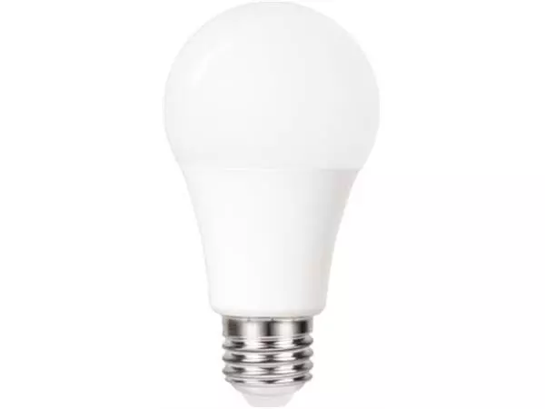 Een Integral Classic Globe LED lamp E27, dag/nacht sensor, niet dimbaar, 2.700 K, 4,8 W, 470 lumen koop je bij ShopXPress