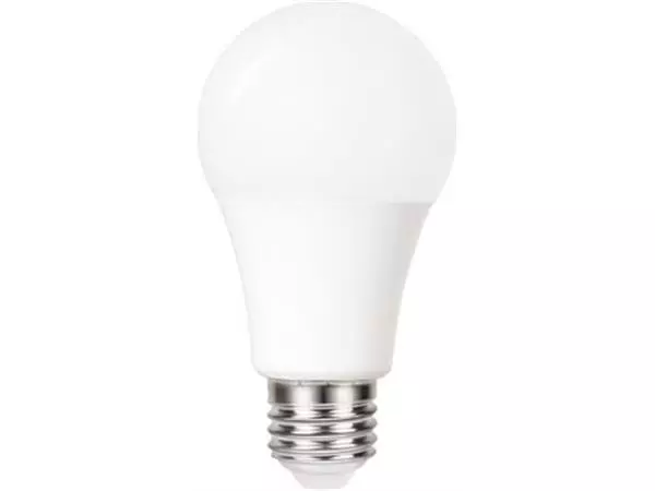 Een Integral Classic Globe LED lamp E27, dag/nacht sensor, niet dimbaar, 5.000 K, 4,8 W, 470 lumen koop je bij ShopXPress