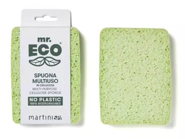 Een Mr. Eco spons ft 12.5 x 10 x 2 cm, van plantaardige cellulose koop je bij ShopXPress