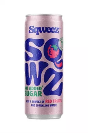 Een SQWZ frisdrank Red Fruits BIO, blikje van 25 cl, pak van 12 stuks koop je bij ShopXPress