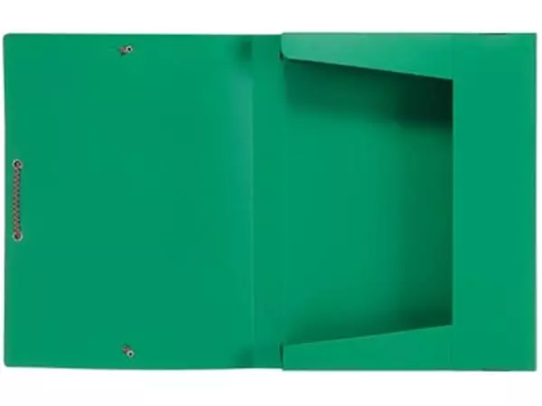 Een Viquel elastobox groen koop je bij ShopXPress