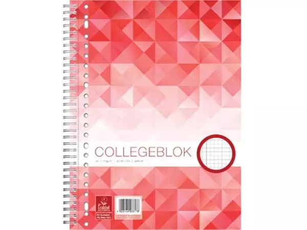 Een Work collegeblok A4 geruit 80 blz, 23-gaats koop je bij ShopXPress