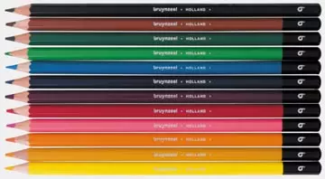 Een Bruynzeel kleurpotloden, metalen doos van 12 stuks koop je bij ShopXPress