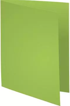 Een Exacompta Rock's 80 dossiermap, ft 22 x 31 cm, pak van 100, muntgroen koop je bij ShopXPress