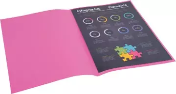 Een Exacompta Rock's 80 dossiermap, ft 22 x 31 cm, pak van 100, fuchsia koop je bij ShopXPress