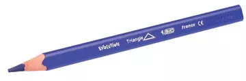 Een Bic kleurpotlood Ecolutions Evolution Triangle 12 potloden in een kartonnen etui koop je bij ShopXPress