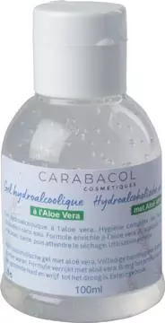 Een Hydroalcoholische handgel, 50-70% alcohol, fles van 100 ml koop je bij ShopXPress