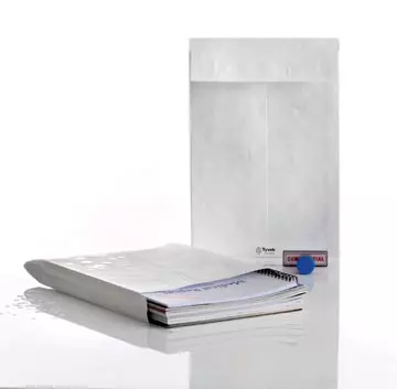 Een Balgenveloppen Tyvek ft 250 x 353 x 38 mm, doos van 100 stuks koop je bij ShopXPress