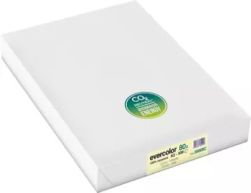 Een Clairefontaine Evercolor gekleurd gerecycleerd papier, A3, 80 g, 500 vel, geel koop je bij ShopXPress