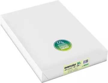 Een Clairefontaine Evercolor gekleurd gerecycleerd papier, A3, 80 g, 500 vel, lichtgroen koop je bij ShopXPress