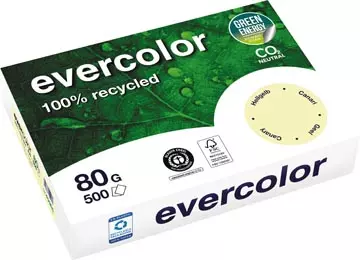 Een Clairefontaine Evercolor, gekleurd gerecycleerd papier, A4, 80 g, 500 vel, geel koop je bij ShopXPress