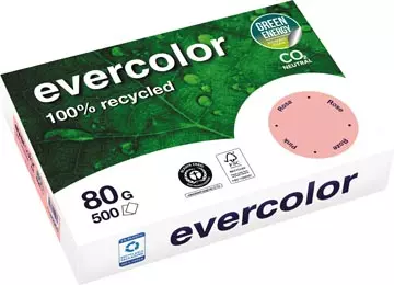 Een Clairefontaine Evercolor, gekleurd gerecycleerd papier, A4, 80 g, 500 vel, roze koop je bij ShopXPress