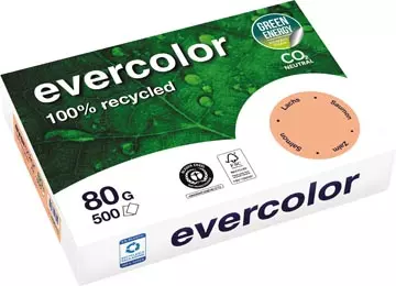 Een Clairefontaine Evercolor, gekleurd gerecycleerd papier, A4, 80 g, 500 vel, zalm koop je bij ShopXPress