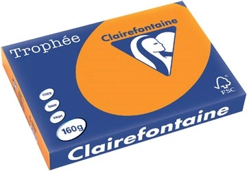 Sie können einen Clairefontaine Trophée Intens, gekleurd papier, A3, 160 g, 250 vel, feloranje bei Supplierz BV kaufen