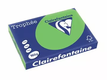 Vous pouvez acheter un Clairefontaine Trophée Intens, papier couleur, A3, 160 g, 250 feuilles, vert menthe chez Supplierz BV