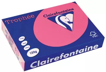 Buy your Clairefontaine Trophée Intens, gekleurd papier, A4, 120 g, 250 vel, fuchsia at Supplierz BV