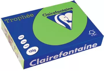 Een Clairefontaine Trophée Intens, gekleurd papier, A4, 120 g, 250 vel, grasgroen koop je bij ShopXPress