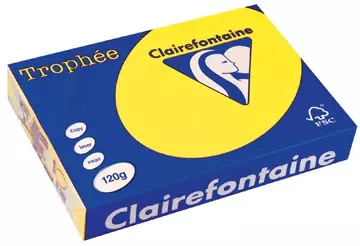 Een Clairefontaine Trophée Intens, gekleurd papier, A4, 120 g, 250 vel, zonnegeel koop je bij ShopXPress