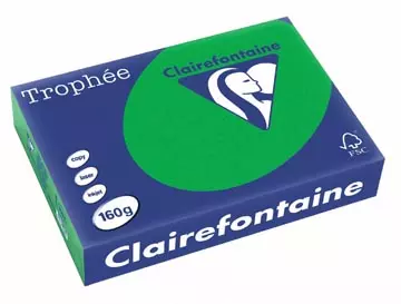 Vous pouvez acheter un Clairefontaine Trophée Intens, papier couleur, A4, 160 g, 250 feuilles, vert billard chez Supplierz BV