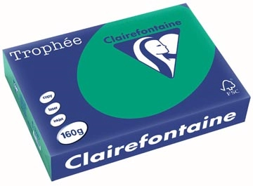 Een Clairefontaine Trophée Intens, gekleurd papier, A4, 160 g, 250 vel, dennengroen koop je bij ShopXPress