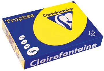 Een Clairefontaine Trophée Intens, gekleurd papier, A4, 160 g, 250 vel, zonnegeel koop je bij ShopXPress