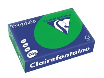 Een Clairefontaine Trophée Intens, gekleurd papier, A4, 210 g, 250 vel, bijartgroen koop je bij ShopXPress