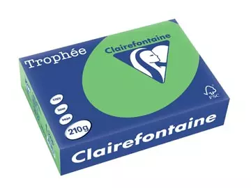 Buy your Clairefontaine Trophée Intens, gekleurd papier, A4, 210 g, 250 vel, grasgroen at Supplierz BV