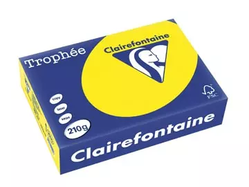 Een Clairefontaine Trophée Intens, gekleurd papier, A4, 210 g, 250 vel, zonnegeel koop je bij ShopXPress