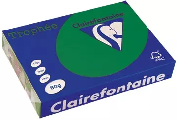 Een Clairefontaine Trophée Intens, gekleurd papier, A4, 80 g, 500 vel, dennegroen koop je bij ShopXPress