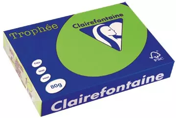 Een Clairefontaine Trophée Intens, gekleurd papier, A4, 80 g, 500 vel, muntgroen koop je bij ShopXPress