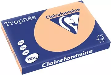 Een Clairefontaine Trophée Pastel, gekleurd papier, A3, 120 g, 250 vel, abrikoos koop je bij ShopXPress