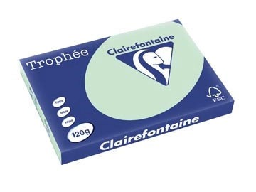 Vous pouvez acheter un Clairefontaine Trophée Pastel, papier couleur, A3, 120 g, 250 feuilles, vert chez Supplierz BV