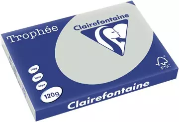 Een Clairefontaine Trophée Pastel, gekleurd papier, A3, 120 g, 250 vel, lichtgrijs koop je bij ShopXPress