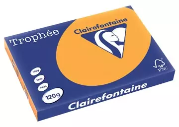 Een Clairefontaine Trophée Pastel, gekleurd papier, A3, 120 g, 250 vel, oranje koop je bij ShopXPress