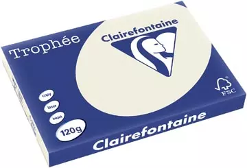 Een Clairefontaine Trophée Pastel, gekleurd papier, A3, 120 g, 250 vel, parelgrijs koop je bij ShopXPress