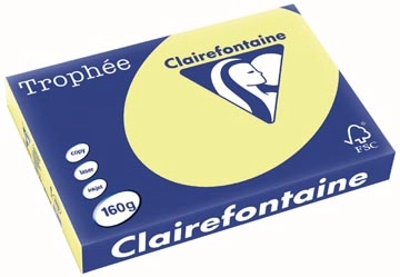 Vous pouvez acheter un Clairefontaine Trophée Pastel, papier couleur, A3, 160 g, 250 feuilles, jonquille chez Supplierz BV