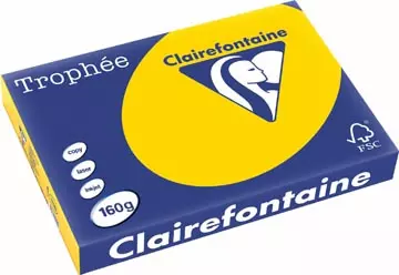 Een Clairefontaine Trophée Pastel, gekleurd papier, A3, 160 g, 250 vel, goudgeel koop je bij ShopXPress