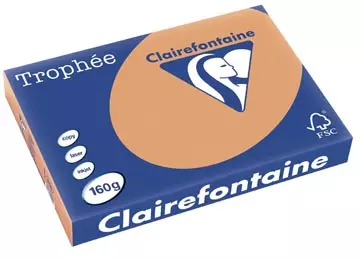 Een Clairefontaine Trophée Pastel, gekleurd papier, A3, 160 g, 250 vel, mokkabruin koop je bij ShopXPress